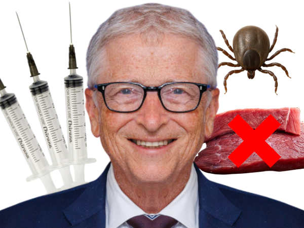 gates bill vaccin maladie tique lyme alphagal alpha gal syndrome brise seringue viande rouge golem