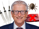 gates-bill-vaccin-maladie-tique-lyme-alphagal-alpha-gal-syndrome-brise-seringue-viande-rouge-golem