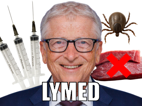 gates bill vaccin maladie tique lyme alphagal alpha gal syndrome brise seringue viande rouge golem