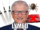 gates-bill-vaccin-maladie-tique-lyme-alphagal-alpha-gal-syndrome-brise-seringue-viande-rouge-golem