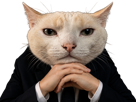 chat-boss-pensif-penseur-fucklesgauchos-intello-patron-ecoute-philosophe-mastermind-stratege-serieux-costard-manipulateur-menton