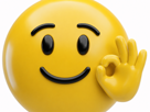 hap-eco-plus-3d-ok-smiley-sourire