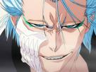 grimmjow-jaegerjaquez-bleach-cheveux-yeux-bleu-arrancar-masque-grimm-jager-fic-bloop