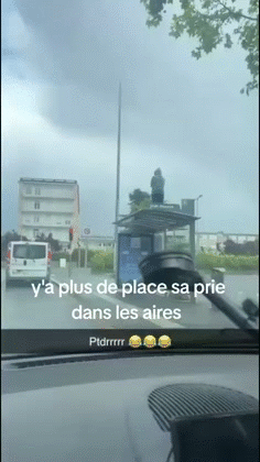 alloc caf parasite gred sait cotise rsa tlm remplace taxe immigre oqtf visa nigga barbes