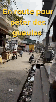 gif-deter-bagarre-combat-baleze-petit-nerveux-marche-peter-gueule