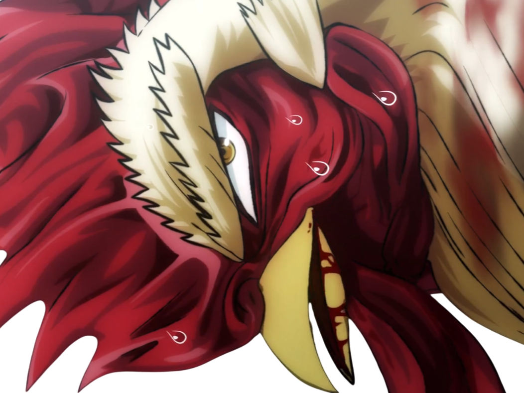 Sticker niwatori fighter rooster coq de baston keiji par Hapi_meal