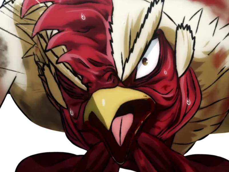 Sticker niwatori fighter rooster coq de baston keiji par Hapi_meal