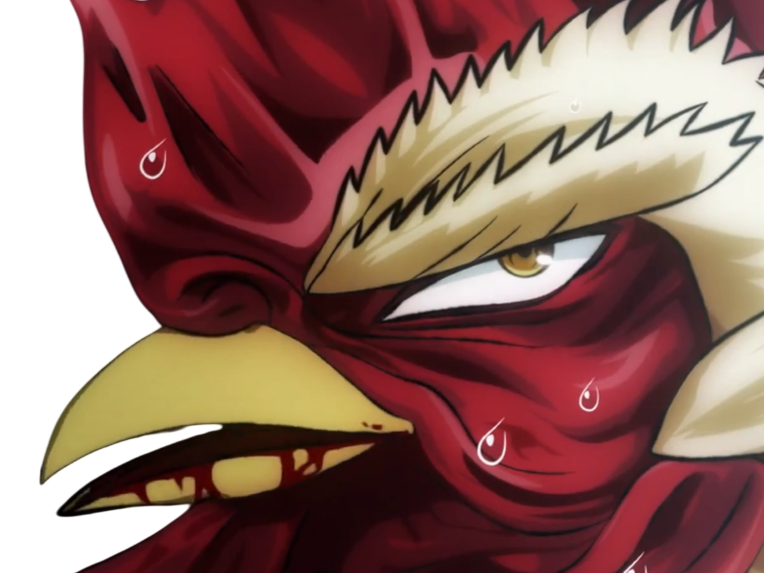 niwatori fighter rooster coq de baston keiji