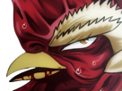 niwatori-fighter-rooster-coq-de-baston-keiji