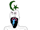 islam-muslim-musulman-debile