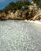 calm-chillax-repos-pause-rest-nap-arena-sable-ocean-cote-calor-solar-vue-azul-crabe