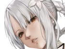 kaine-nier-replicant
