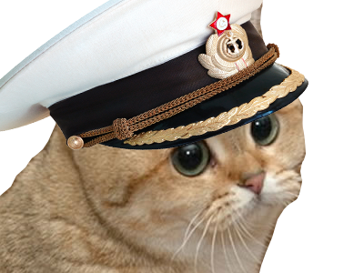 chat marin chapeau mignon capitaine reup