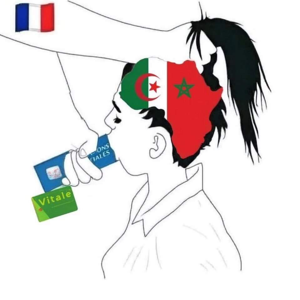 france afrique carte vitale caf colonisation yabon noir arabe grand remplacement aides sociale