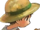 scout-jean-raoul-jean-raoul-bug-catcher-pokemon-fic-vlt-moupe-indispensable-mort