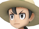 scout-jean-raoul-jean-raoul-bug-catcher-pokemon-fic-vlt-moupe-indispensable-mort