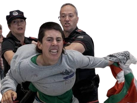 flotille espagne gaza police matraque victime israel palestine golem