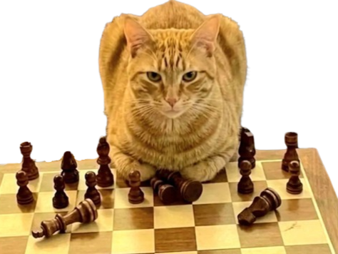 chat chad echec cat intelligent smart chat-d alpha dominant manipulation echecs