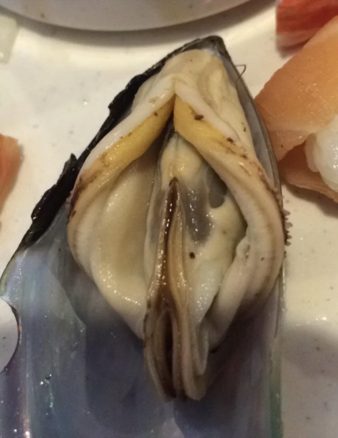 moule mariniere vagin femme pussy