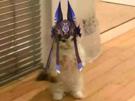 genshin-impact-cyno-sumeru-cosplay-ridicule-electro-chat