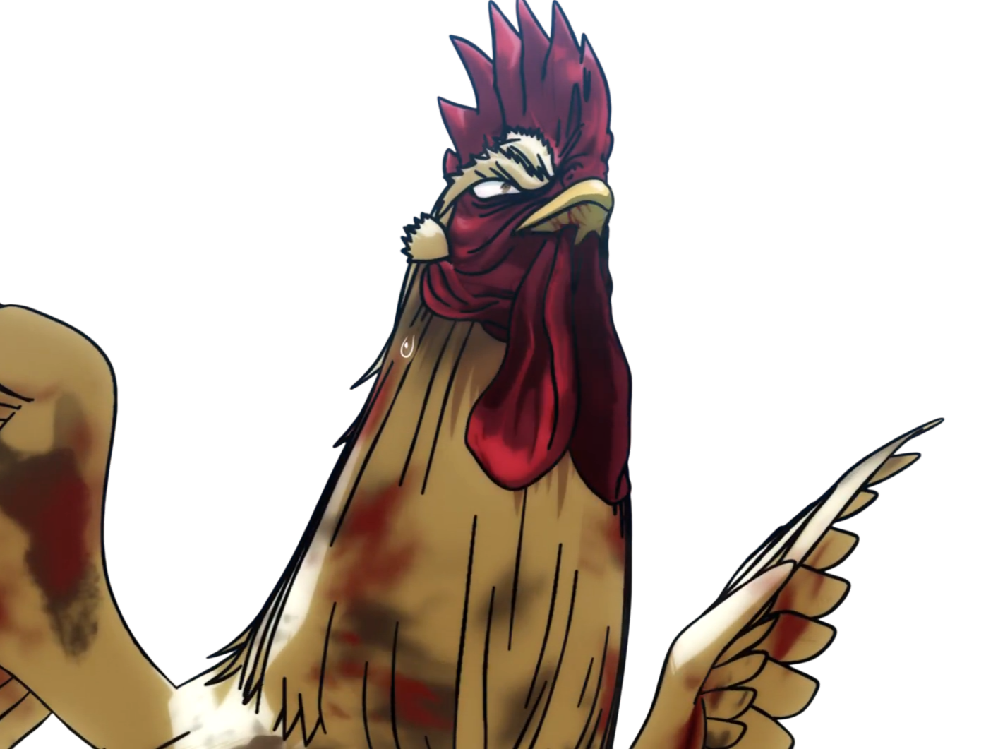 niwatori fighter rooster coq de baston keiji