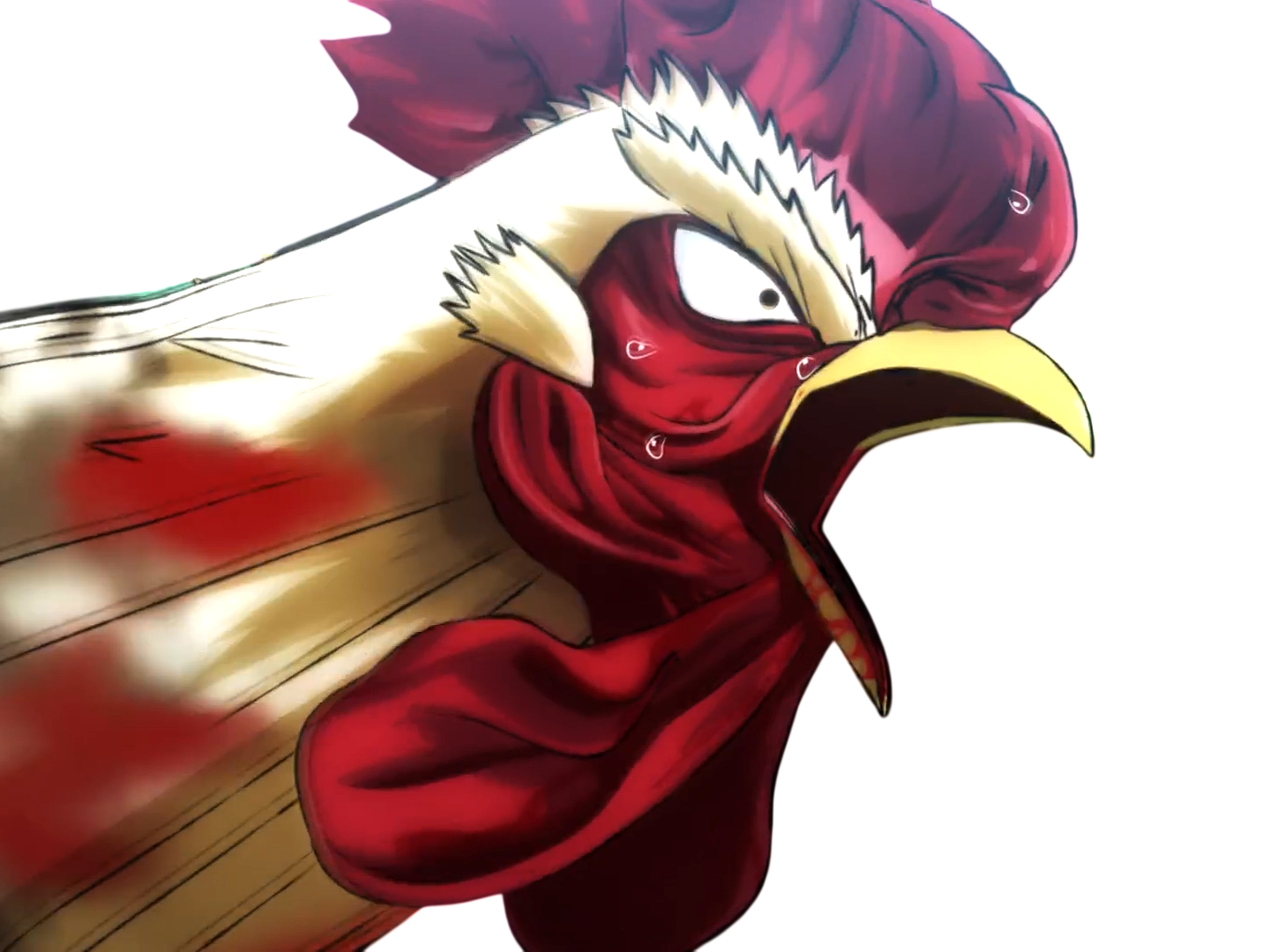 niwatori fighter rooster coq de baston keiji