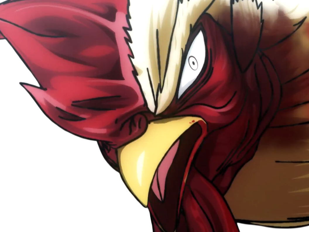 niwatori fighter rooster coq de baston keiji