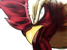 niwatori-fighter-rooster-coq-de-baston-keiji