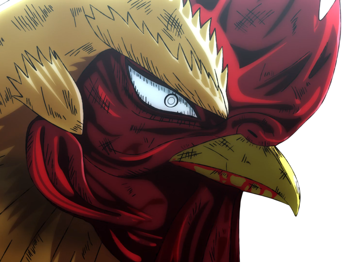 niwatori fighter rooster coq de baston keiji