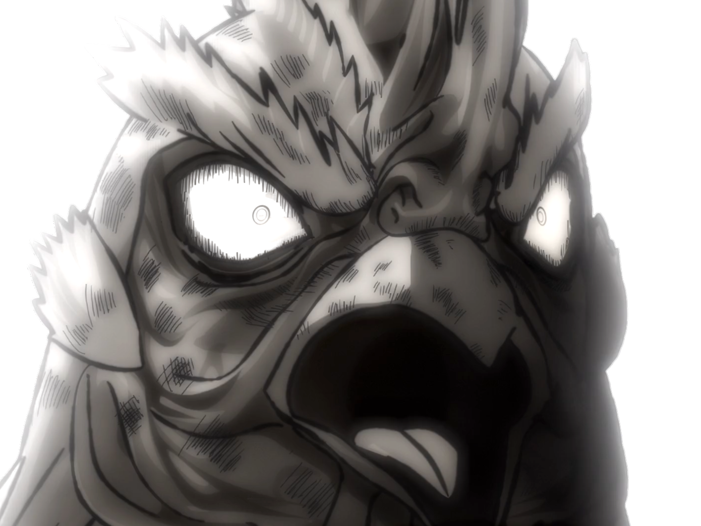 niwatori fighter rooster coq de baston keiji