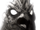 niwatori-fighter-rooster-coq-de-baston-keiji