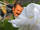 risitas celestin gardenia bourdon butine
