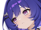 prune-bouille-genshin-impact-nod-krai