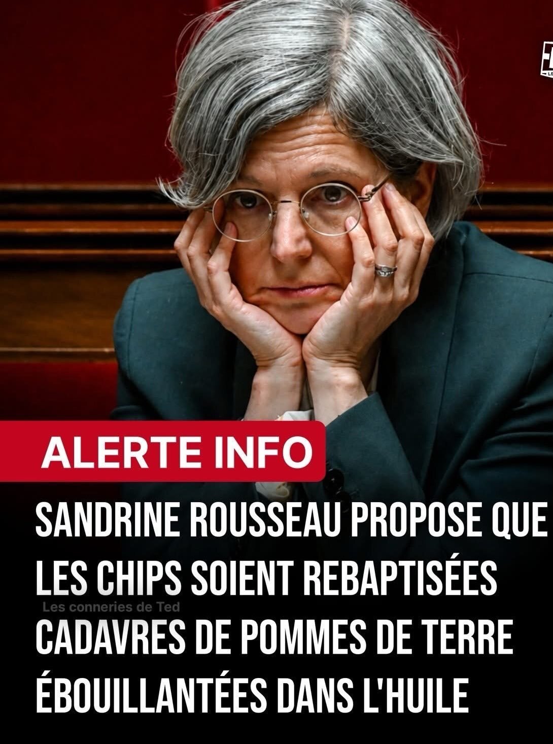 escro sardine sandrine rousseau dej meal femen metoo eelv ecol verde snack chips quote senat