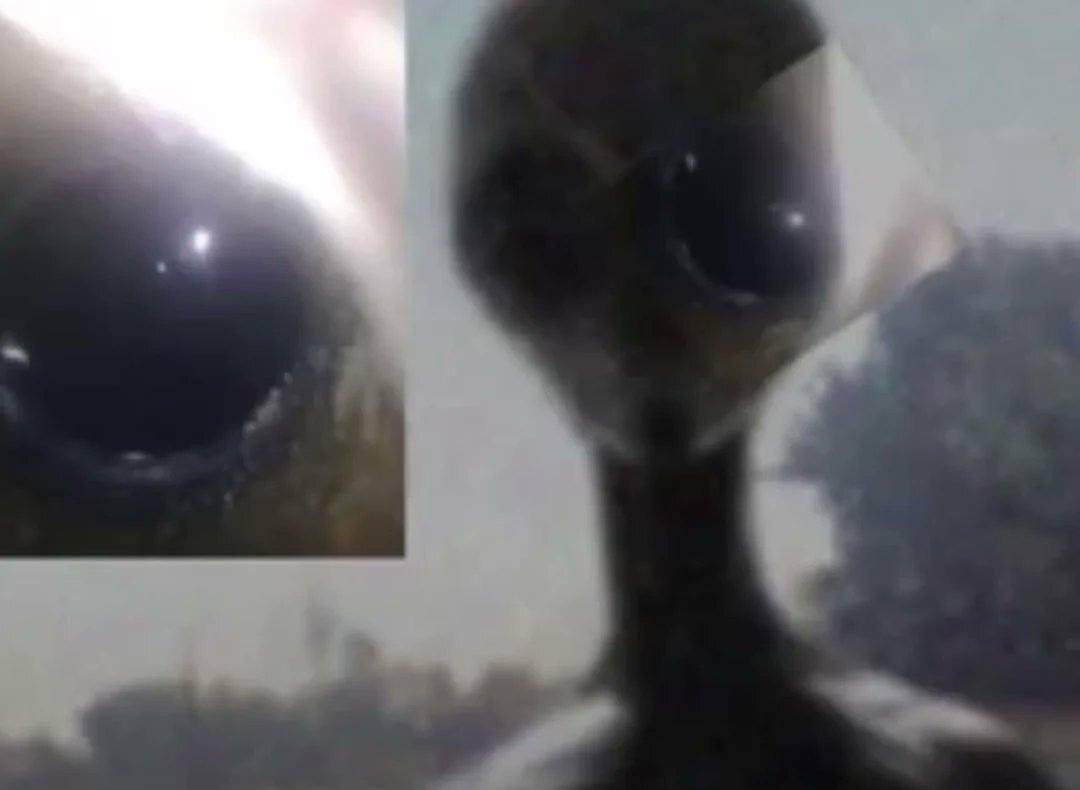 groom lake s4 ayy lmao area51 ufo drone daarpa nevada zone51 usaf extra planet cosmic