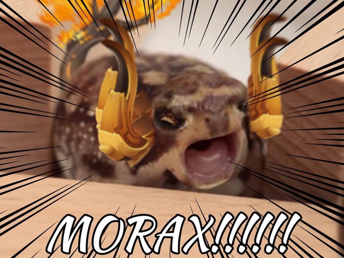 azdaha liyue morax genshin impact boss crapaud