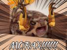 azdaha-liyue-morax-genshin-impact-boss-crapaud