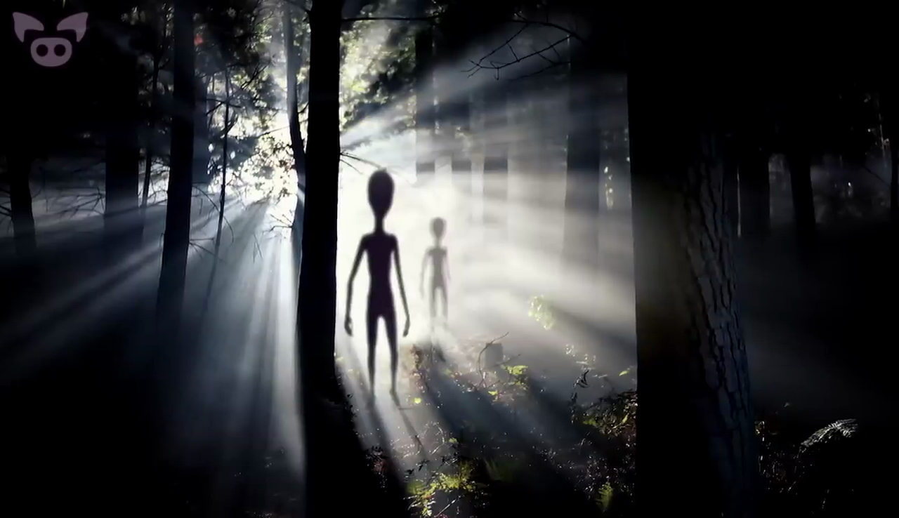 groom lake s4 ayy lmao area51 ufo drone daarpa nevada zone51 usaf extra planet cosmic
