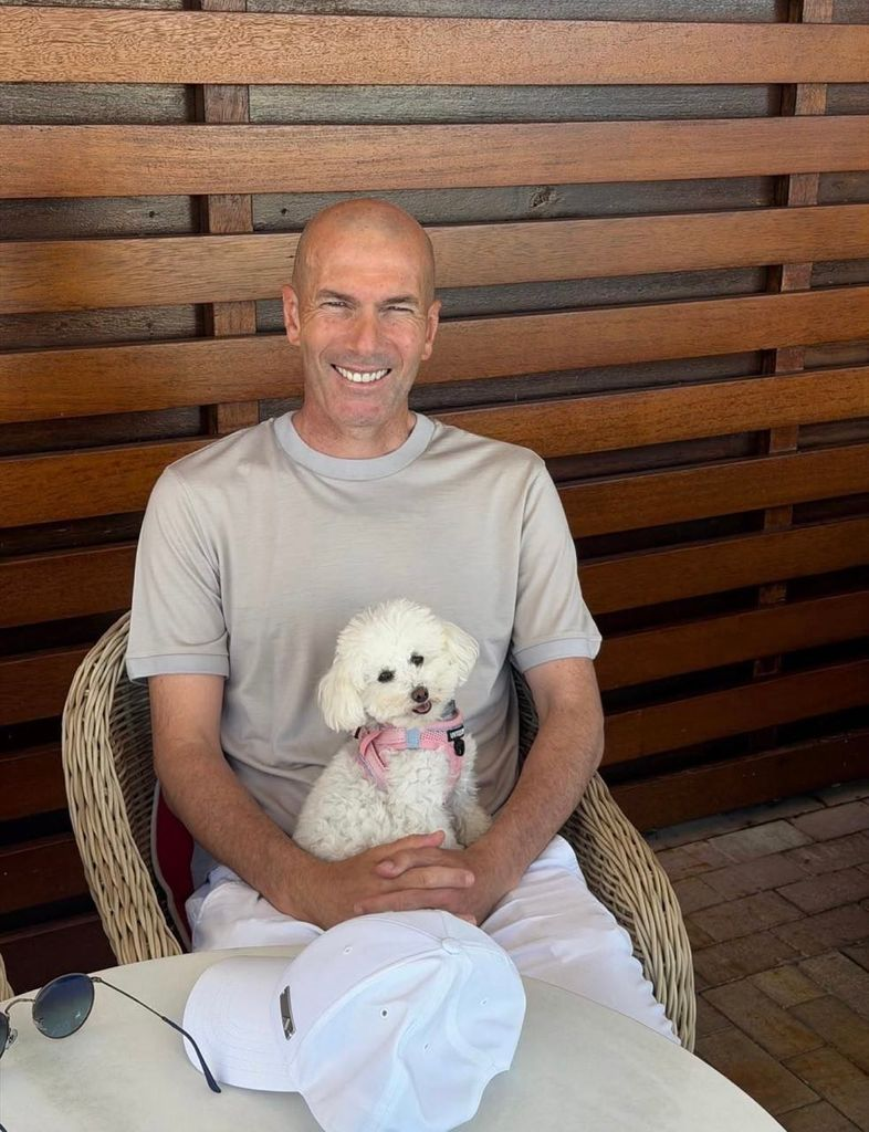 zidane zinedine zizou z benz benzemonstre chien chauve narquois caniche j 00000