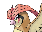 pokemon-vlt-roucoups-cicatrice-route_3