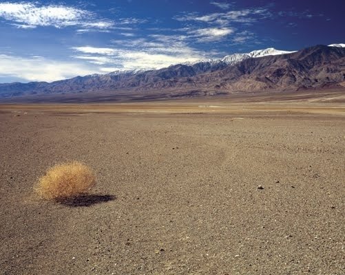 boule route vide desert tumbleweed