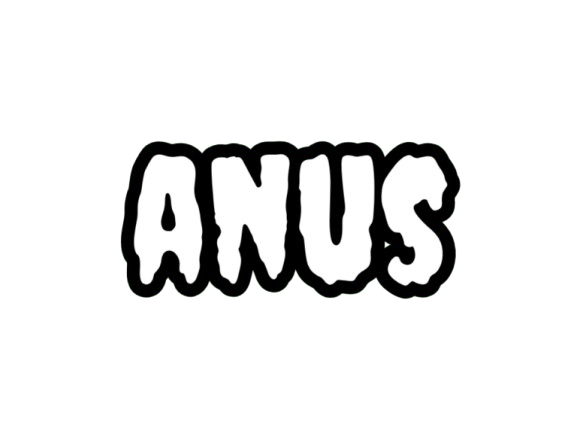 nnn nnn26 nnn2k26 anus