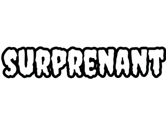 nnn nnn26 nnn2026 nnn2k26 surprenant