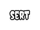 nnn-nnn26-nnn2026-nnn2k26-sert