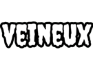 nnn-nnn26-nnn2026-nnn2k26-veineux-veineuse