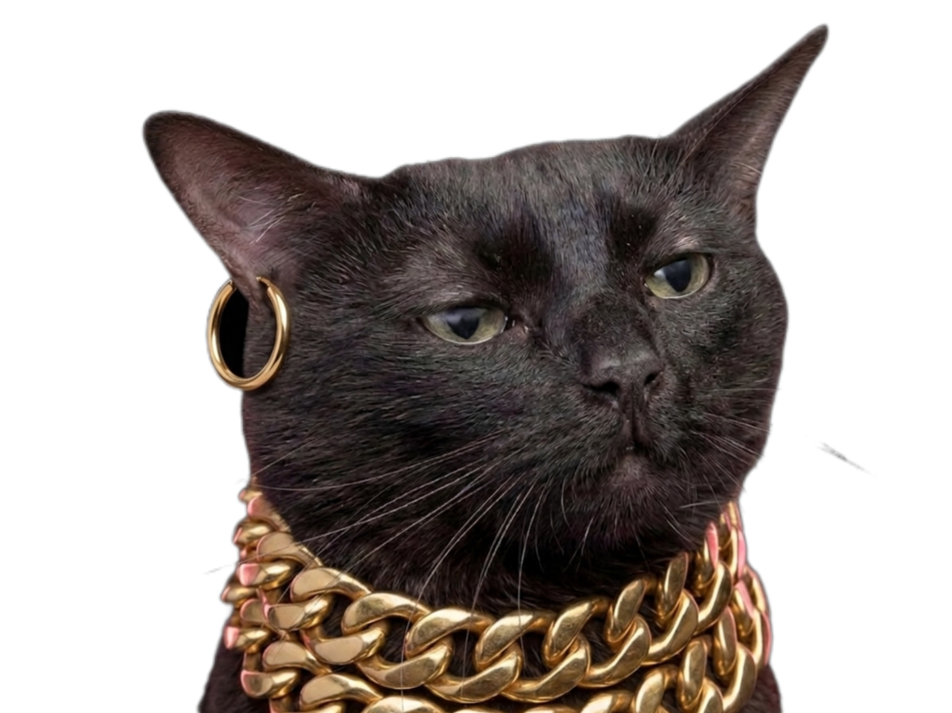 chat noir boucle or collier chaine