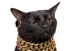 chat-noir-boucle-or-collier-chaine