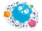 mega-mega-meteno-meteno-minior-pokemon-pkm-jeu-anime-type-roche-vol-7g-alola-meteore-fakemon