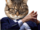 chat-boss-lunettes-costard-patron-costume-gris-mains-chad-pdg