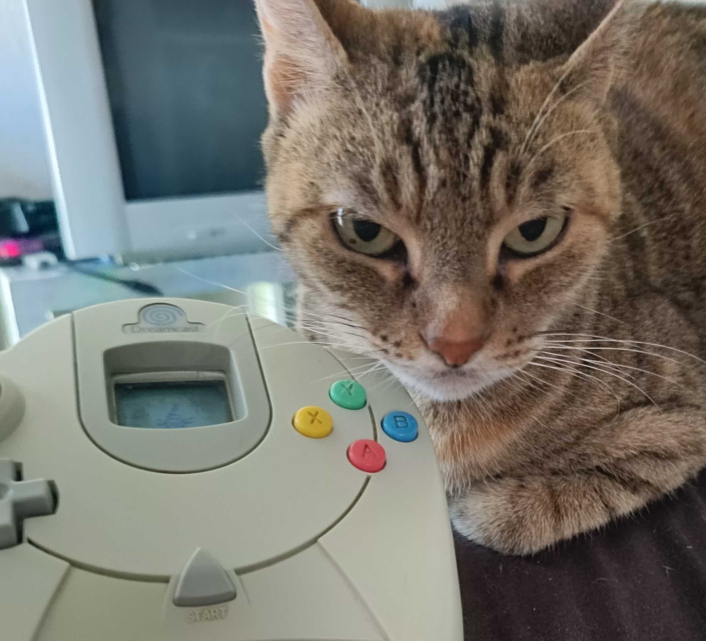 chat dreamcast jet set radio tare sega manette vmu